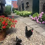 De Beijersche Stee, Logies Aan De Waterkant Casa vacanze
