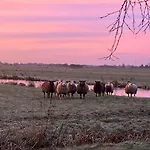 Casa vacanze De Beijersche Stee, Logies Aan De Waterkant