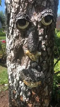 De Beijersche Stee, Logies Aan De Waterkant Stolwijk