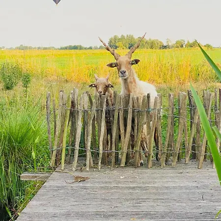 Feriehus De Beijersche Stee, Logies Aan De Waterkant *