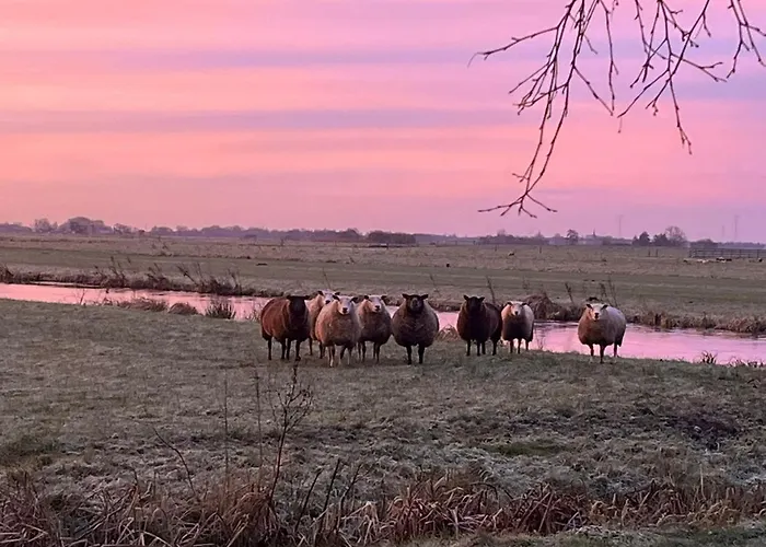 Ferienhaus De Beijersche Stee, Logies Aan De Waterkant
