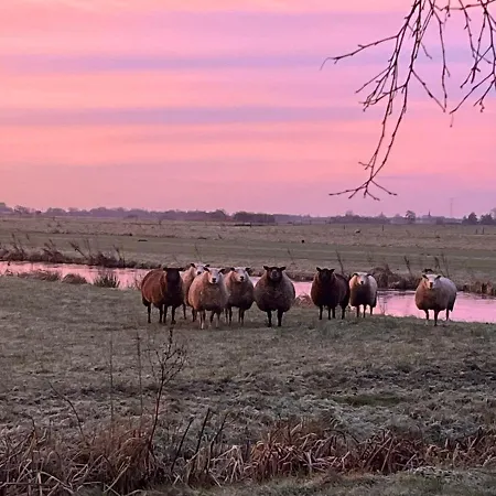 بيت للعطل De Beijersche Stee, Logies Aan De Waterkant