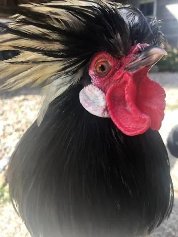 De Beijersche Stee, Logies Aan De Waterkant * Stolwijk